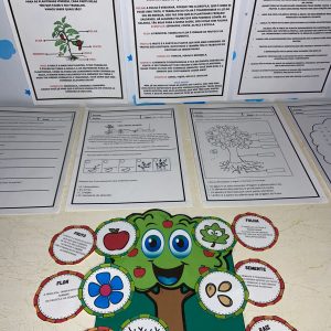 atividades partes da planta